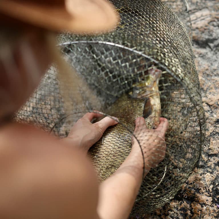 Fishing